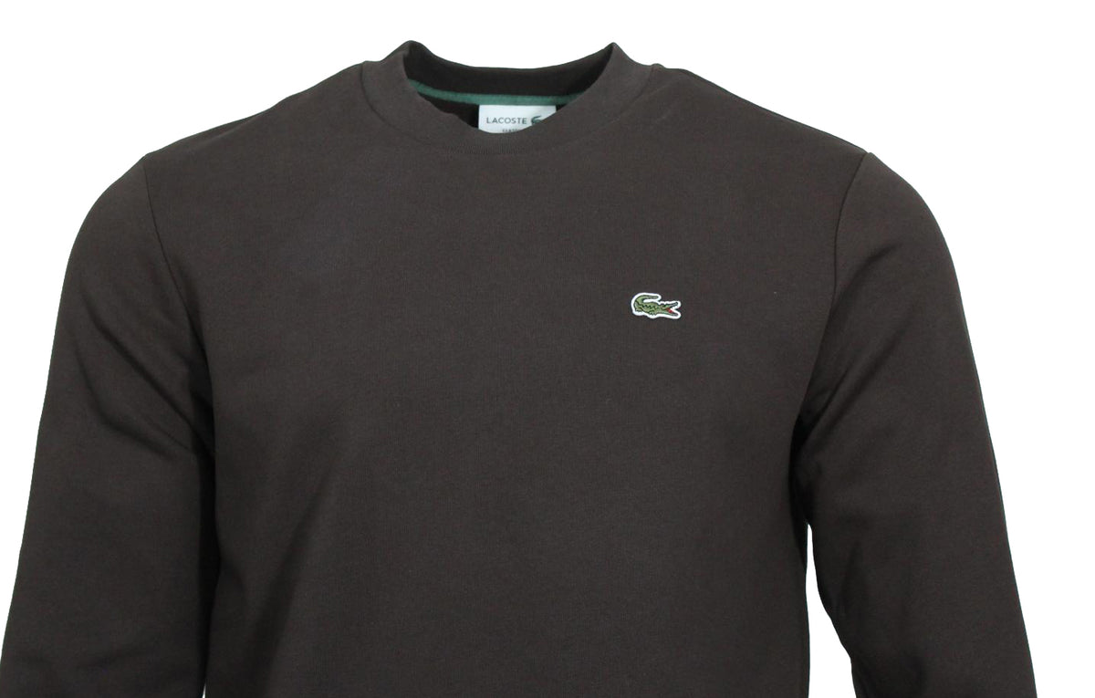 Lacoste Rundhals Pullover - Braun